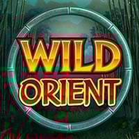 Microgaming slot